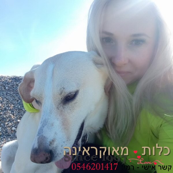 כלות מאוקראינה | הפרופיל של לידיה
